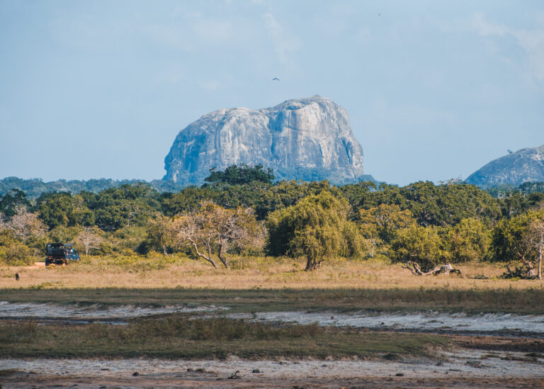safari yala national park
